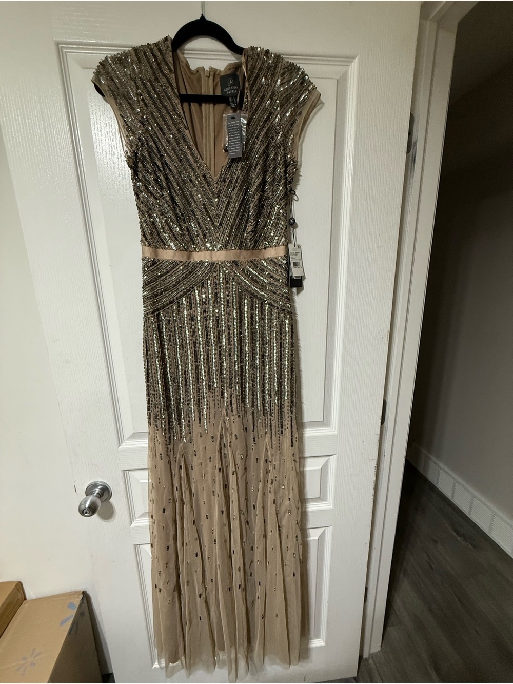 Adrianna Papell Nude Beaded V-Neck Maxi Gown
